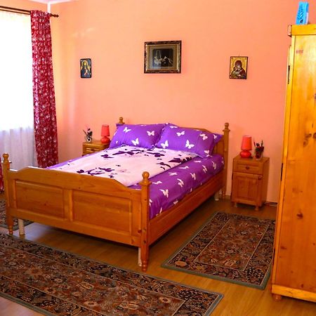 Apartament Iulia Geoagiu Băi Eksteriør bilde