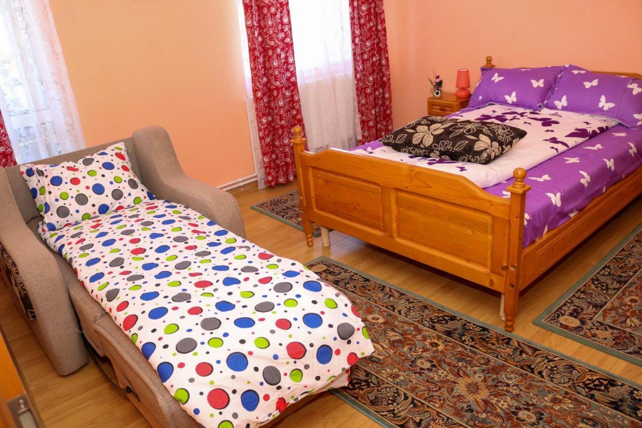 Apartament Iulia Geoagiu Băi Eksteriør bilde