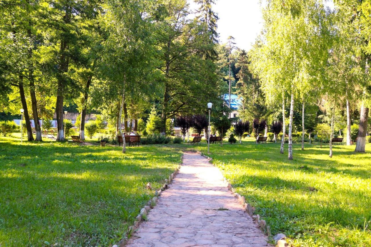 Apartament Iulia Geoagiu Băi Eksteriør bilde