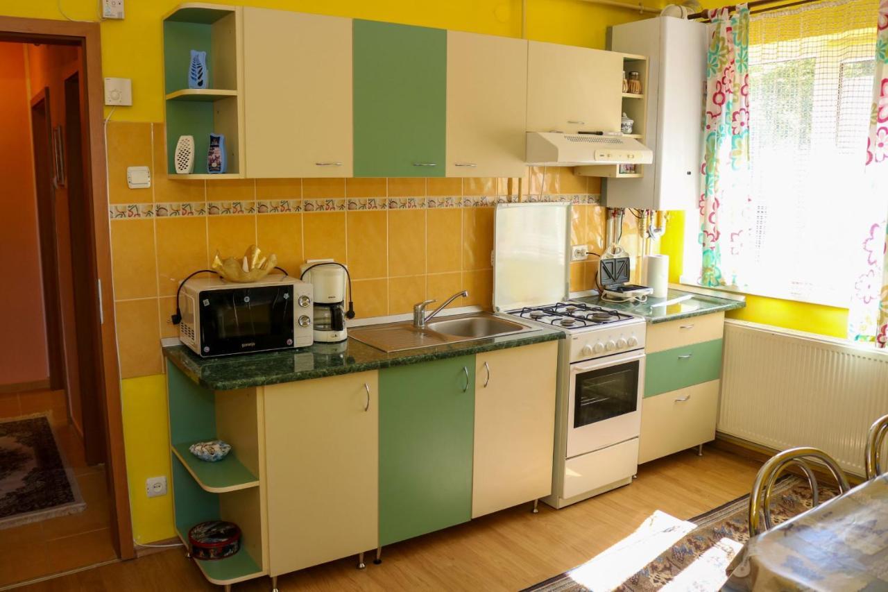 Apartament Iulia Geoagiu Băi Eksteriør bilde